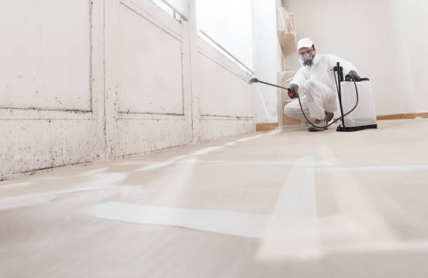 24/7 Emergency Attic Mold Removal experts in Bayonne, NJ