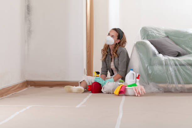 Reliable Attic Mold Removal contractor in Bayonne, NJ by WQB Mold Removal